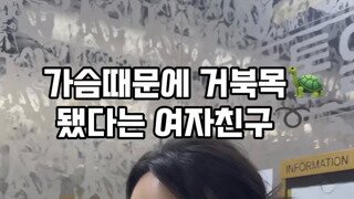 ㅇㅎ) 점심엔 수박