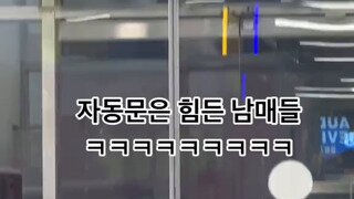 자동문은 힘든 아기 남매들