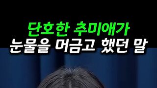 윤석열 검찰과 진짜로 혼자 싸웠던 추미애 장관.mp4