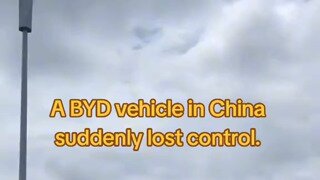 BYD 근황