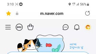 소리주의) 싱글벙글 네이버 고양이의날