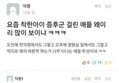 썸네일 이미지