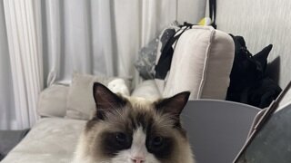 인맥 관리의 중요성.gif