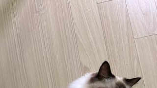 한강 자전거 도로가 위험한 이유.jpg