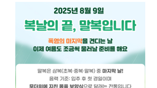 오늘 치킨을 시켜야 하는 이유.