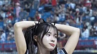 ㅇㅎ 이다혜 치어리더 복근