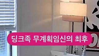 딩크족 무계획임신의 최후