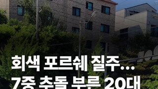 정차명령 무시하고 도주하던 20대
