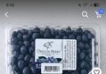 생 블루베리 미국산 310g×2개
