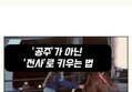 썸네일 이미지