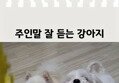 썸네일 이미지