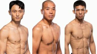 현 한국인 UFC 파이터들 모음