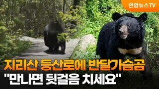 한국에 늘어나고 있는 야생곰