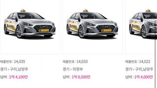 최근 개인택시 번호판 시세