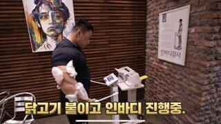 인바디 근육양 늘리는법