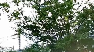 왕년에 변신 좀 하셨던 아저씨