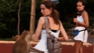 이 새끼 이거........