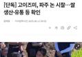 썸네일 이미지