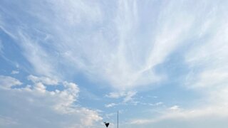 이거 뭘까요?