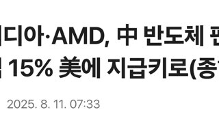 엔비디아·AMD, 中 반도체 판매 수익 15% 美에 지급키로(종합)
