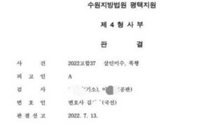 전설의 캣맘