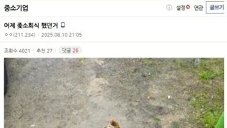 직원 8명 ㅈ소에서 회식했다는 디시인 jpg