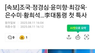 조국·정경심·윤미향·최강욱·은수미·황희석…李대통령 첫 특사