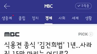 식용견 종식 '김건희법' 1년‥사라진 15만 마리는 어디로?