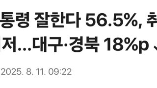 李대통령 잘한다 56.5%, 취임 후 최저...대구·경북 18%p↓