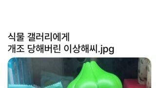 개조당한 이상해씨