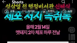 윤돼지체포작전전날 행정관+신의한수 녹취록