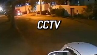 맹견으로부터 딸을 보호하는 아빠