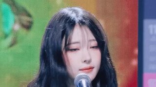 히나 보고 오열한 리더 쵸단 (QWER)