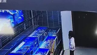 수산마켓 cctv에 찍힌 소녀의 행동..mp4...