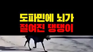 혼자 잘 노네