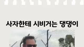 놔봐 말리지마봐