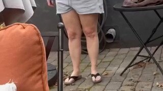 거북이 첨 본 고양이