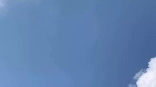 월마트 배송 서비스