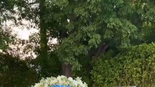 결혼식에서 신부 옷 벗긴 개진상