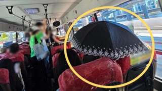 버스 안에서 양산 핀 승객
