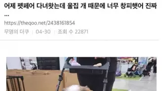 우리집 개 때문에 너무 창피했어 진짜.jpg