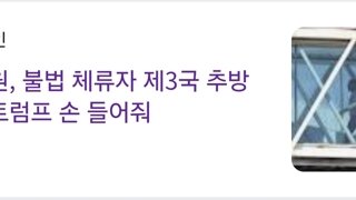 미국 불체자 추방 근황