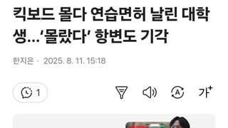 킥보드 몰다 연습면허 날린 대학생…‘몰랐다’ 항변도 기각