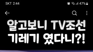 정치한잔 유튜브 구독하고 싶다는 청년