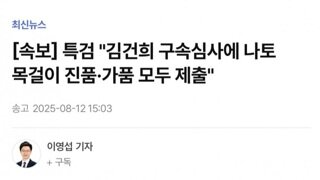 [속보]특검..건희 구속심사에 목걸이 진품,가품 모두 제출