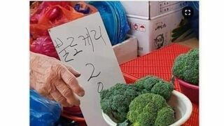 어려운 채소