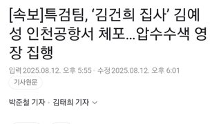 [속보]특검팀, ‘김건희 집사’ 김예성 인천공항서 체포…압수수색 영장 집행