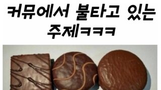 '커뮤에서 논란이다' 할때마다 웃긴 주제