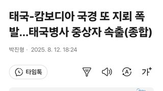 태국-캄보디아 국경 또 지뢰 폭발…태국병사 중상자 속출(종합)