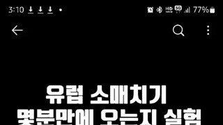 유럽에서 소매치기 몇분안에 오는지 실험